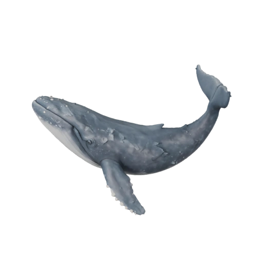 Синий кит 3D модель для Blender - PBR ресурс с текстурами | PBR