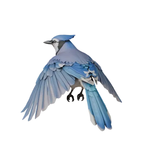 3D модель Blue Jay, вид сбоку, рендер дикой природы, готовый для Blender ассет животного с детализацией хвоста, контрастом кл