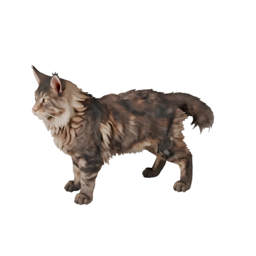 Высокополигональная 3D модель мейн-куна - Детализированный STL ресурс для печати