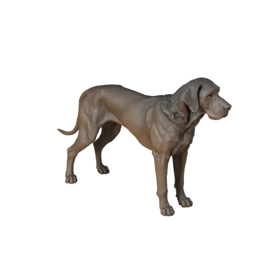 Реалистичная 3D модель немецкого дога, вид сбоку, готовый к анимации ассет с ритмом ног, объемом плеч, анатомией лап и собачь