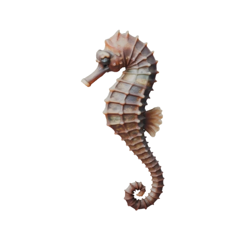 Высокополигональный морской конек 3D модель - Детальный STL актив для печати