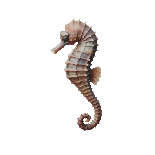 Высокополигональная 3D-модель морского конька STL, изометрический вид, готовая к печати фигурка животного с детализацией грив