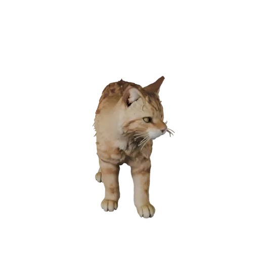 3D модель Ragdoll Cat, вид сбоку игровой камерой, готовый для Unity ассет животного с подушечками усов, скольжением плеча, из