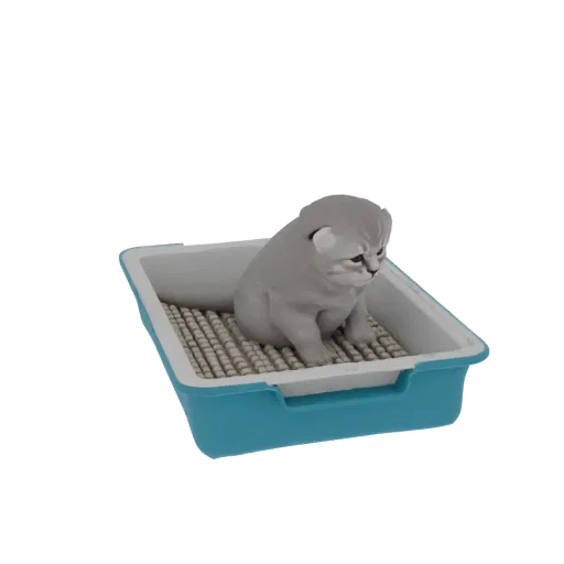 3D модель милого серого котёнка, сидящего в синем лотке с текстурированным наполнителем.