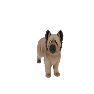 3D модель пушистой коричневой собаки стоящей, с висячими ушами и дружелюбным выражением морды.