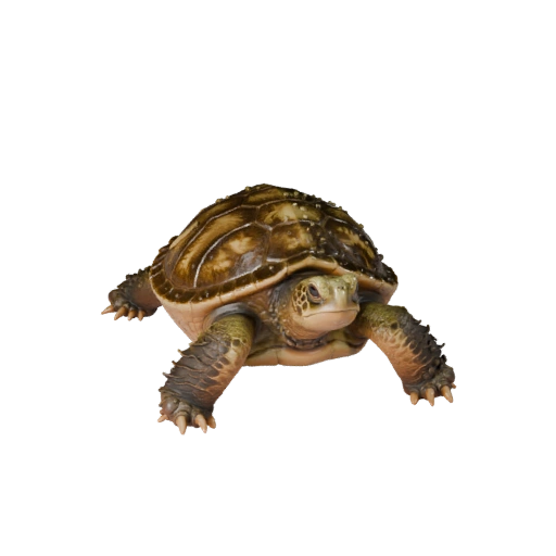 Реалистичная 3D модель черепахи-касатки - rigged PBR ассет для игр