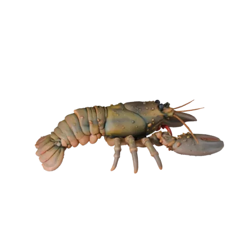 Высокополигональная 3D-модель омара STL, изометрический вид, готовая к печати фигурка животного с детализацией поверхности, к