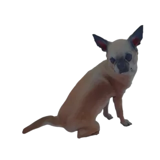 3D модель рыжей чихуахуа сидит и смотрит в сторону, с большими ушами и любопытным выражением.