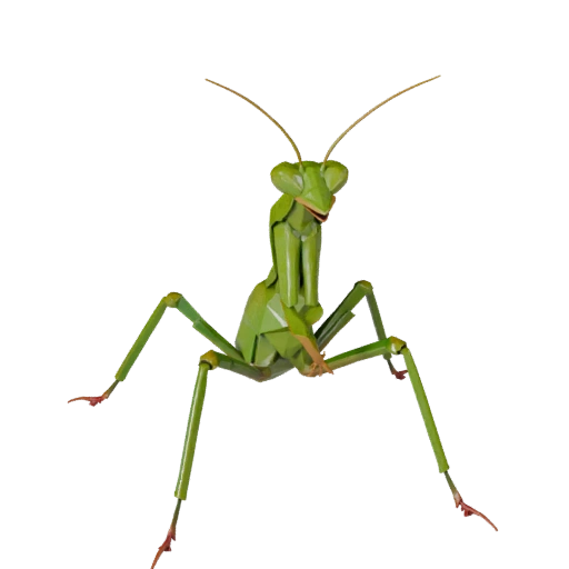 Низкополигональный богомол 3D модель - Игровой ассет Unity с FBX