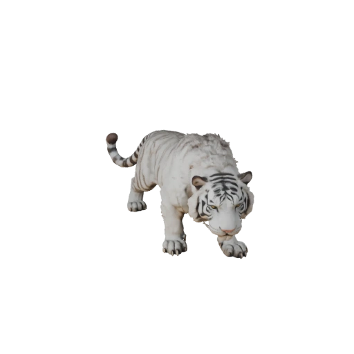 نموذج نمر أبيض ثلاثي الأبعاد لـ Unity - أصل جاهز للعبة، FBX | PBR