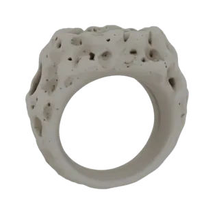 3D модель кольца с пористой, костеподобной текстурой, представленная на белом фоне.