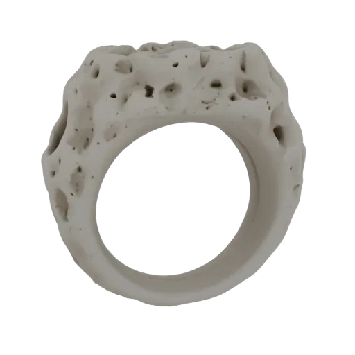 3D модель кольца с пористой, костеподобной текстурой, представленная на белом фоне.