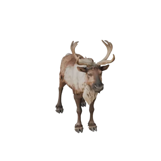 Реалистичная 3D-модель карибу, вид сбоку, рендер дикой природы, готовый к анимации ассет животного с силуэтом рогов или ветви