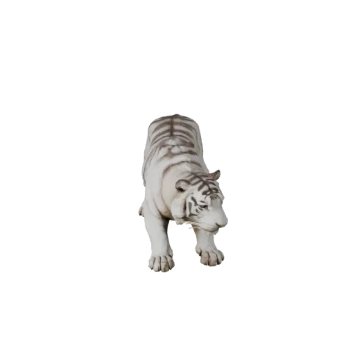 Реалистичная 3D модель белого тигра, рендер дикой природы сбоку, готовый к анимации ассет животного с кошачьей подвижностью п