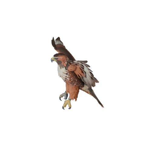 Высокополигональная 3D модель краснохвостого канюка - Детальный STL ресурс для печати