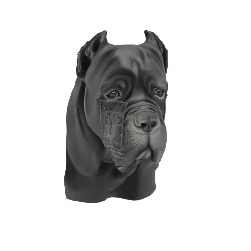 3D модель головы собаки породы Кане-корсо, отрендеренная с темно-серой, похожей на камень текстурой, демонстрирующая ее муску