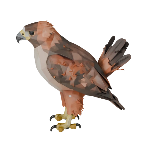 Низкополигональный краснохвостый канюк 3D модель - игровой ассет Unity с FBX