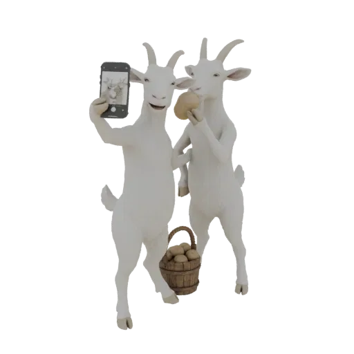 3D модель двух белых коз, делающих селфи, одна держит телефон, другая картошку, с корзиной картошки у ног.