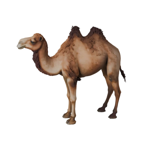 3D модель дромадера для Unity - Готовый игровой ассет, FBX