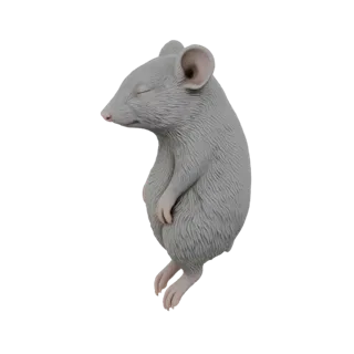 3D рендер маленькой серой мыши с закрытыми глазами, мирно спящей в свернутой позе.