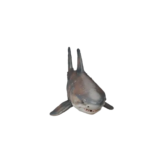 3D модель акулы-тигра, вид сбоку, рендер дикой природы, готовый для Blender ассет животного с подушечками усов, скольжением п