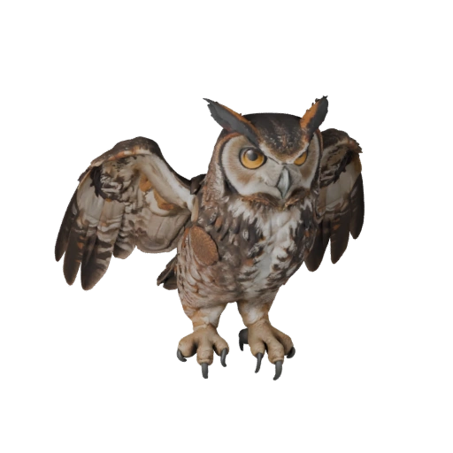 Реалистичный филин 3D модель - Rigged PBR ассет для игр