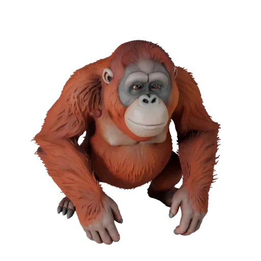 3D модель орангутана, рендер дикой природы сбоку, готовый к использованию в Blender ассет животного со структурой рук и ног,