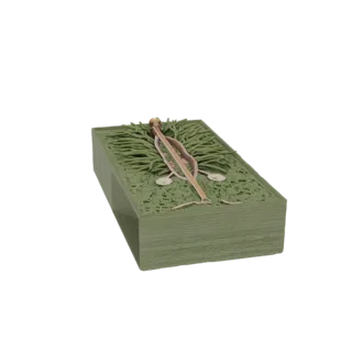 3D-модель изометрического поперечного среза хвои Abies concolor, показывающая внутреннюю клеточную структуру, проводящие пучк