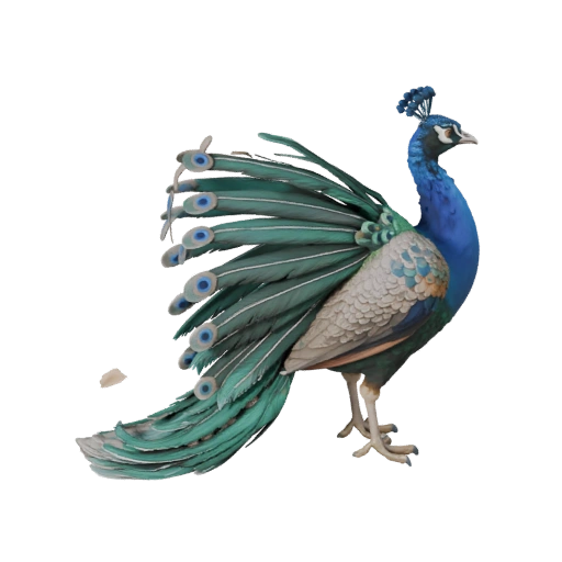 3D модель павлина для Unity - Готовый игровой ассет, FBX | Бесплатно