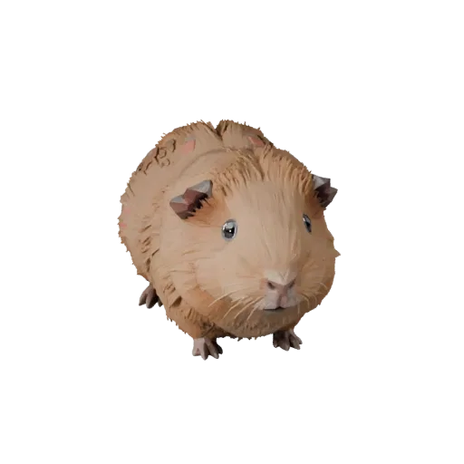 Низкополигональная 3D-модель морской свинки, вид сбоку игровой камеры, низкополигональный ассет животного с балансом позы, ан