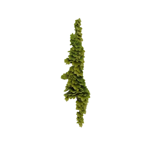 3D модель свисающей гирлянды, состоящей из множества мелких зеленых листьев суккулентов, каскадом ниспадающих вниз.