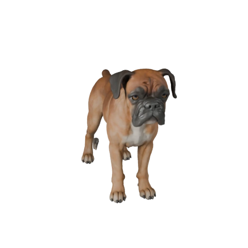Боксер 3D модель для Unity - Готовый игровой ассет, FBX | Бесплатно