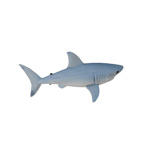Высокополигональная 3D-модель большой белой акулы STL, изометрический вид, готовая к печати фигурка животного с мембранами пл