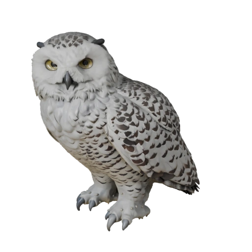 3D модель снежной совы для Blender - PBR-ресурс с текстурами | PBR