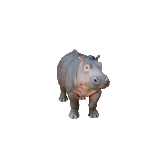 3D модель бегемота, вид сбоку, рендер дикой природы, готовый к использованию в Blender ассет животного с четкой анатомией, ес