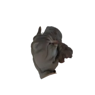 Рендер 3D модели скульптуры гротескного лица с текучими, детализированными текстурами и тревожным, художественным видом.
