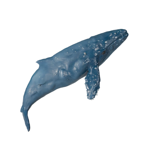 3D модель белухи для Unity - Готовый игровой ассет, FBX | PBR