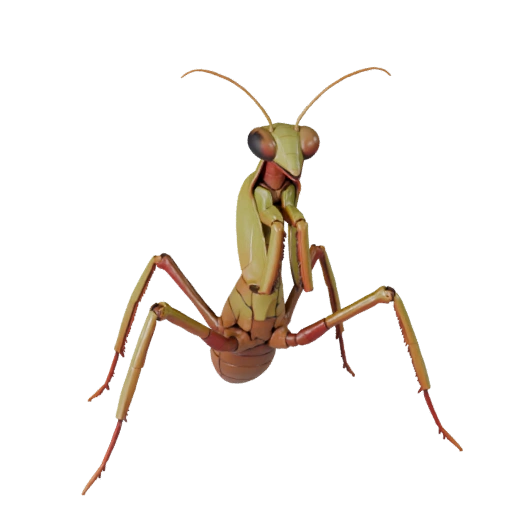 3D модель богомола для Blender - PBR ассет с текстурами