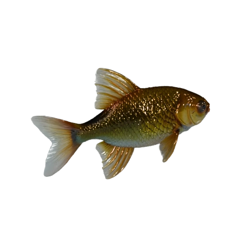 Золотая рыбка 3D модель для Unity - Готовый игровой ассет, FBX | Бесплатно