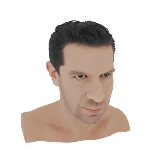 3D рендер реалистичного мужского бюста с темными волосами и детализированными чертами лица, представленный на белом фоне.