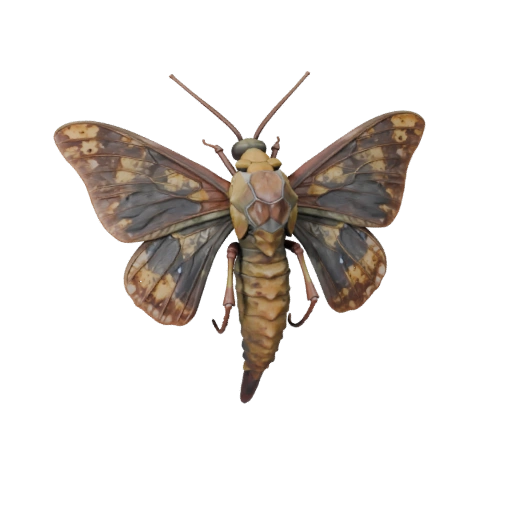 3D модель лунного мотылька для Blender - PBR ресурс с текстурами | PBR