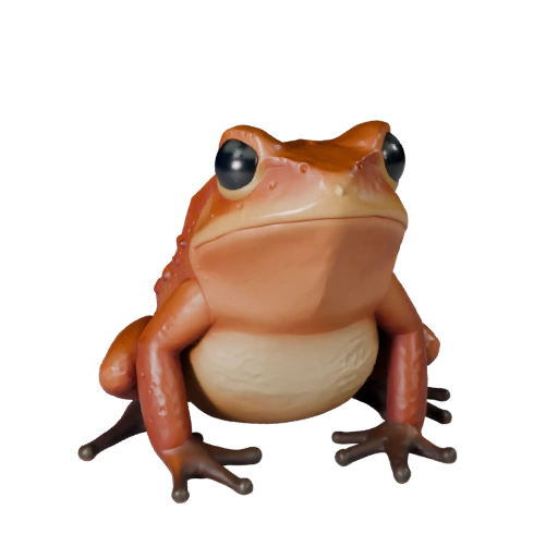 Высокополигональная лягушка-древолаз 3D модель - STL-ресурс для печати