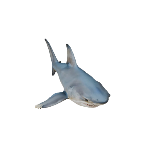 3D модель большой белой акулы для Unity - Готовый игровой ассет, FBX
