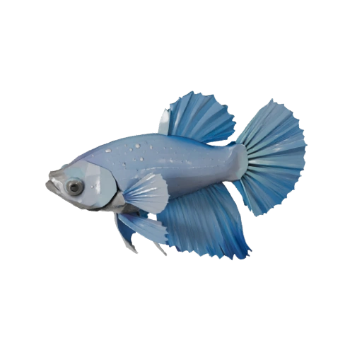 Низкополигональная 3D модель петушка - Игровой ассет для Unity с FBX | PBR