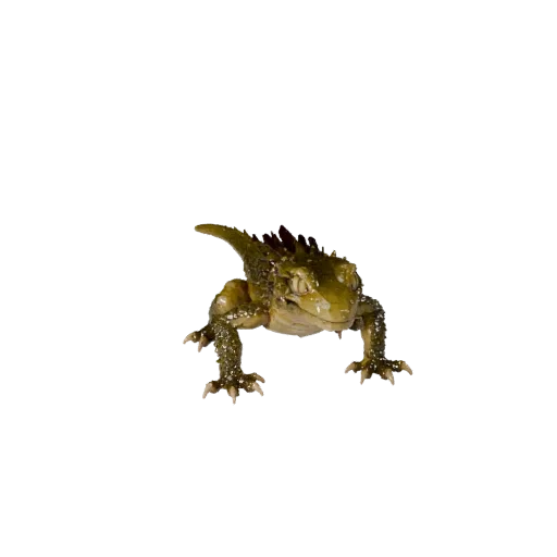 Низкополигональная 3D-модель геккона, вид сбоку в игровой камере, низкополигональный ассет животного с узорами пластин, гребн