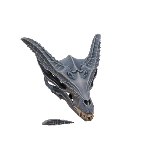 Детализированная 3D модель черепа дракона с острыми рогами и зубами, представленная на белом фоне.