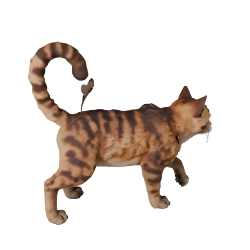 3D модель кошки Рагамаффин, вид сбоку, рендер дикой природы, готовый для Blender ассет животного с естественным изгибом позво