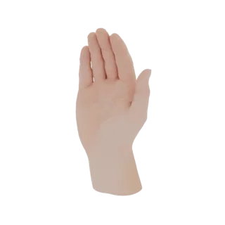 Реалистичная 3D модель человеческой руки, вид с ладони, пальцы слегка разведены.
