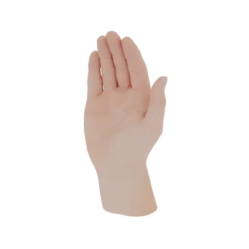 Реалистичная 3D модель человеческой руки, вид с ладони, пальцы слегка разведены.