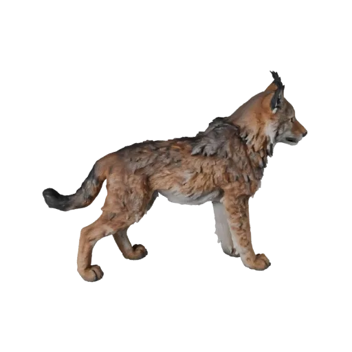 Реалистичная 3D модель рыси, вид сбоку, рендер дикой природы, готовый к анимации ассет животного с сужением челюсти, лопаткам